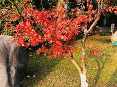 -浙东革命根据地纪念馆