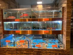 -ONE FULL 古董港式海鲜火锅