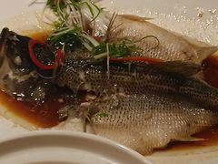 -祥记果木烤鸭·国宴豫菜