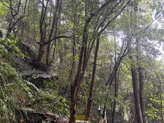 -石台牯牛降景区