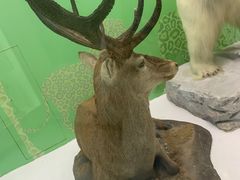 -国家自然博物馆