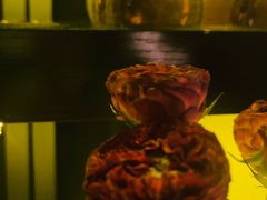 -ibarrel爱杯·bistro&brunch(江宁路店)