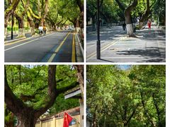 -颐和路民国时期公馆-风貌区