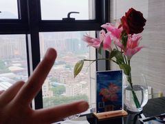 -法兰度航空主题餐厅(端州店)