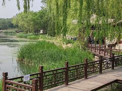-北坞公园