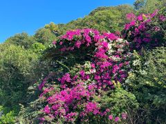 -三亚西岛海洋文化旅游区