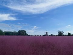 -羊亭河湿地公园