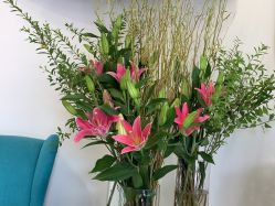 -联合丽格·张菡丽格医疗美容