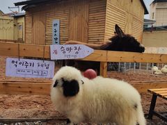 -HERRE·FARM 赫尔露营农场·团建聚会包场