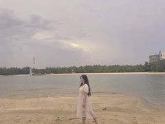 -东郊椰林