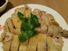 -泰煌鸡·上海白斩鸡·鸡汤面(鹤庆店)