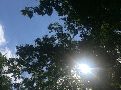 -海德公园
