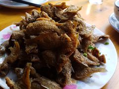 -双桥饭店(锦溪店)