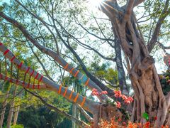 -云溪植物园