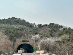 -居庸关长城