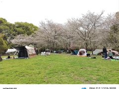 -上海共青森林公园