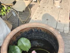 -甲乙丁書店·书茶咖·四合院