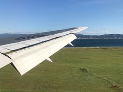 -全日本空输株式会社(上海办事处)