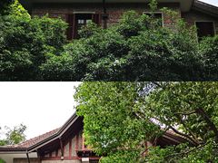 -思南公馆