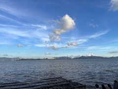 -深圳湾公园(南山区)