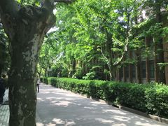 -同济大学（四平路校区）-图书馆