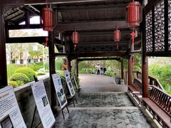 -活水公园