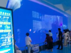 -泉城欧乐堡海洋极地世界