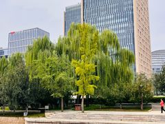 -元大都城垣遗址公园