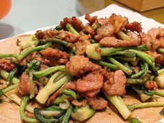 刺嫩芽炒鹿肉-吉林省林业宾馆-餐厅