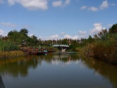 -上海长兴岛郊野公园