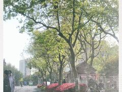 -新江湾城公园