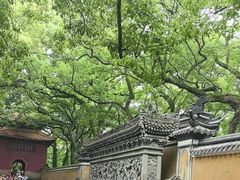 -普陀山风景名胜区-法雨禅寺