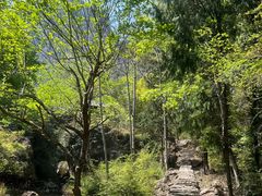 -雁荡山雁湖景区