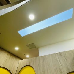 -上海交通大学医学院附属上海儿童医学中心(陆家嘴总院区)