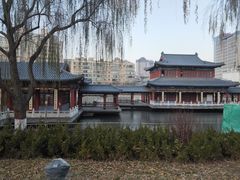 -雁滩公园