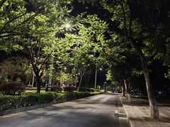 -天河体育中心游泳馆
