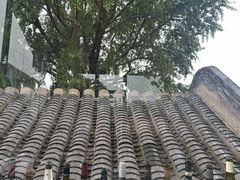 -自如ZSPACE四合院艺术餐厅
