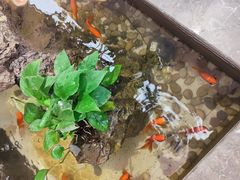 -便宜坊烤鸭店(亦庄京东店)