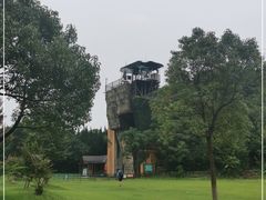 -东平国家森林公园