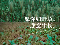 -保定东湖公园(莲池区)