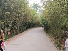 -竹泉村旅游度假区