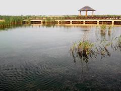 -南大港湿地风景区