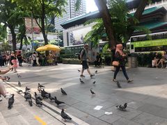 -詹爷爷乌节路街头冰淇淋