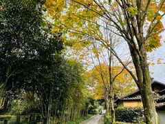 -法云安缦酒店