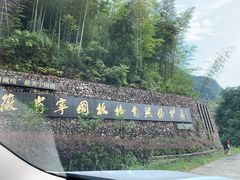 -水墨汀溪风景区