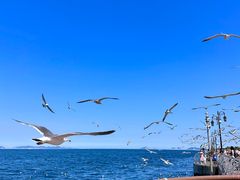 -大连海昌东方水城
