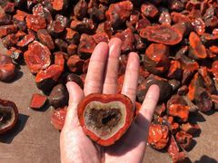 -宋记冕宁土菜馆(海门渔村二店)