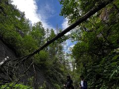 -峡谷浮石林景区