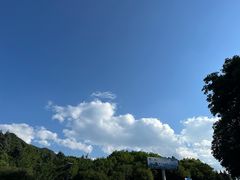 -秦岭风景区