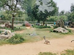 -秦皇岛野生动物园